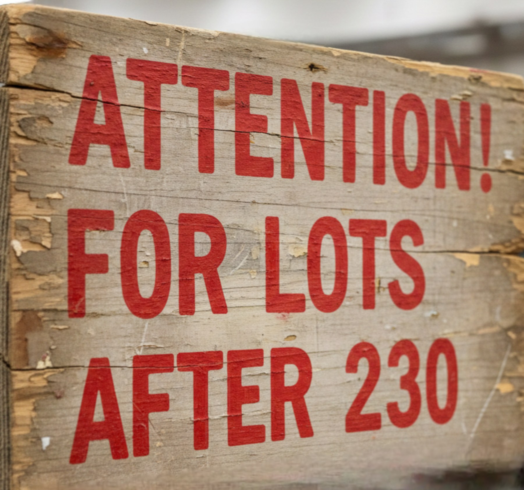 viber_image_2026-02-17_16-13-10-687